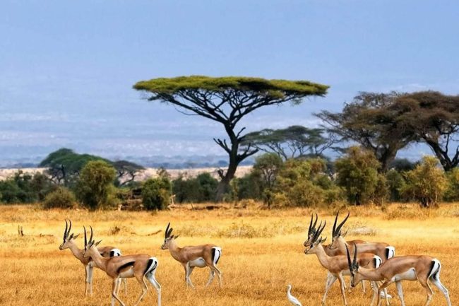Bandingilo National Park