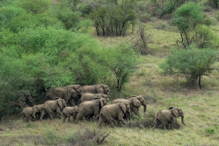Boma National Park