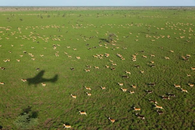 Jonglei State