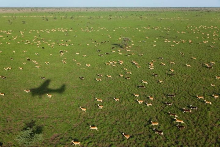 Jonglei State
