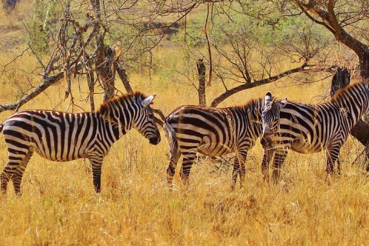 State in South Sudan visited by tourists